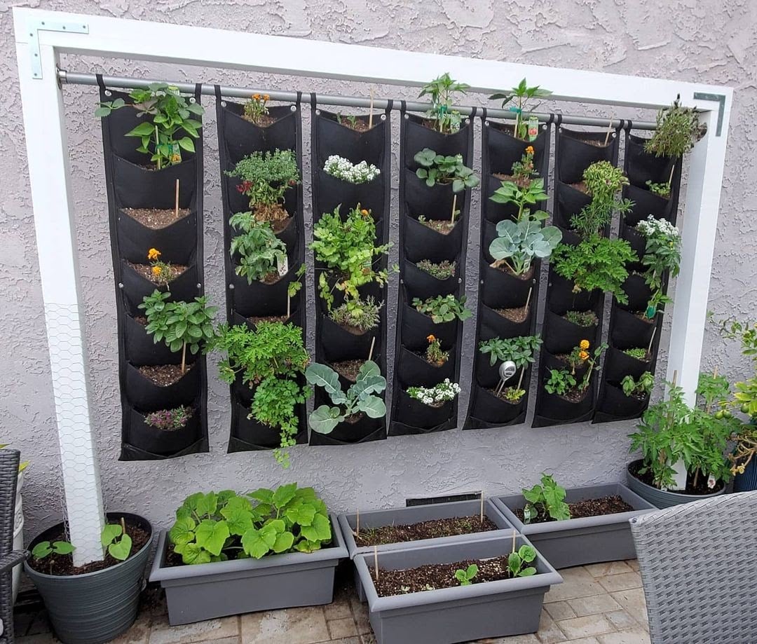 shoe holder vertical garden